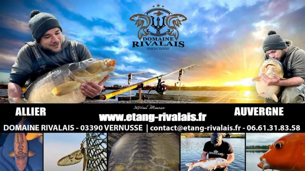 Mise à jour majeure du site du Domaine Rivalais – Exploration 360° et navigation optimisée